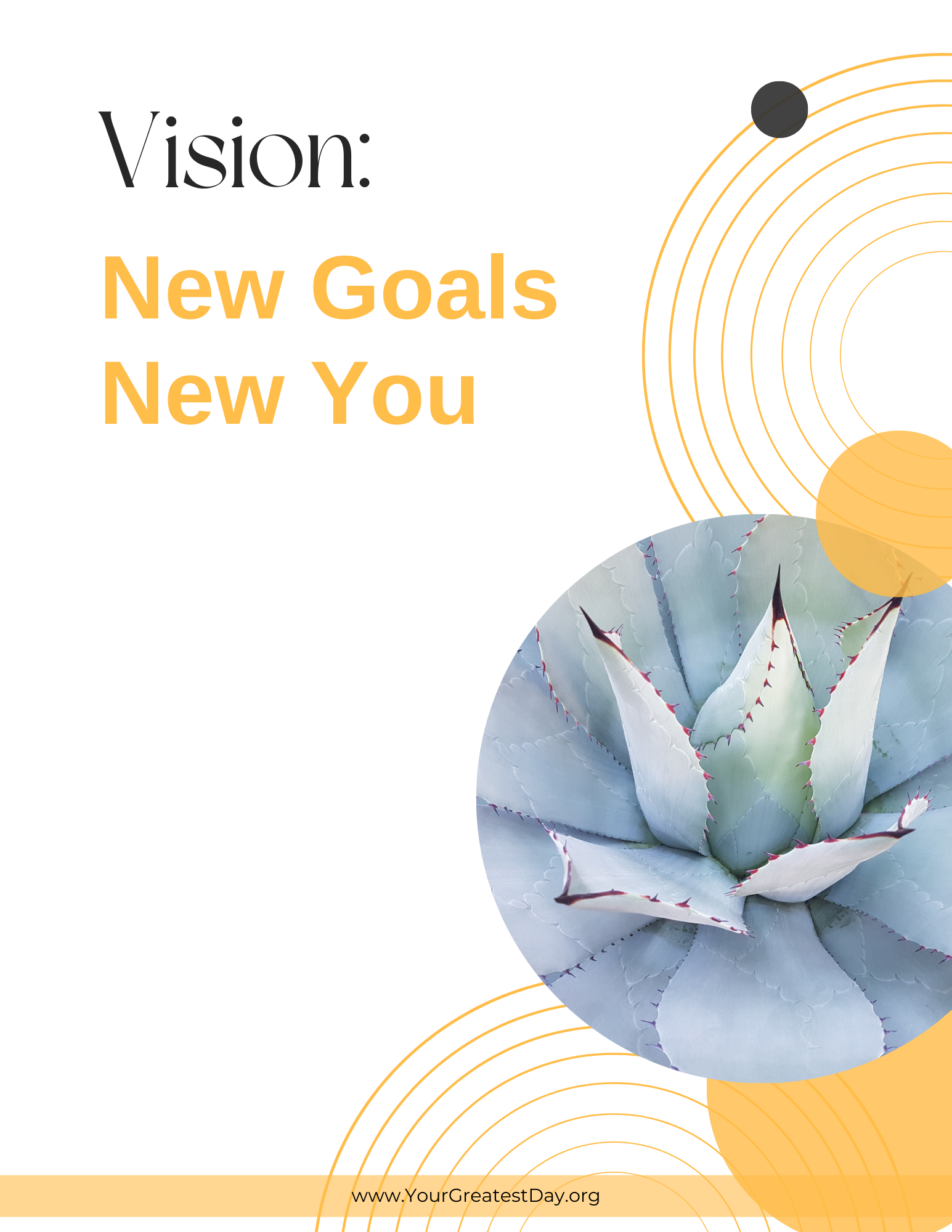 Vision New Goals New You motivational succulent graphic